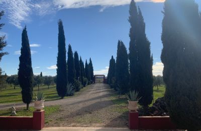 Casa de campo à venda Almagro, Almagro, Castela-Mancha, Acesso