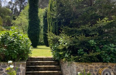 Casa de campo à venda Xove, Acevedo, Galiza, Jardín