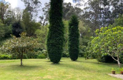 Casa de campo à venda Xove, Acevedo, Galiza, Jardim
