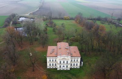 Palácio à venda Karszew, Wielkopolskie, Imagem 8/19
