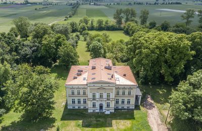 Palácio Karszew, Wielkopolskie