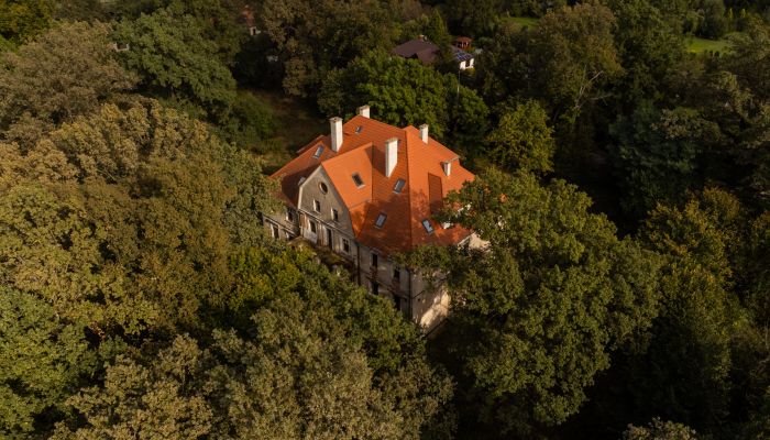 Palácio à venda Wilków, Opole,  Polónia