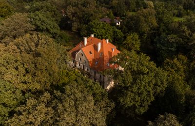 Imóveis com caráter, Zabytkowy pałac z parkiem – Wilków, woj. Opolskie