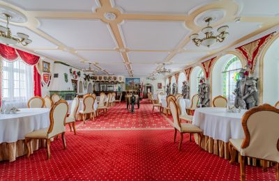 Palácio à venda Krupski Młyn, Slaskie, Imagem 3/21