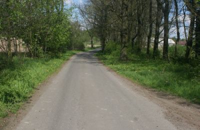 Casa senhorial à venda Pisarzowice, Dolnoslaskie, Imagem 15/17