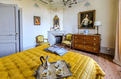 Casa senhorial à venda País do Loire, Imagem 13/15