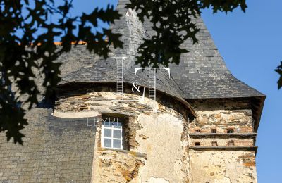 Casa senhorial à venda País do Loire, Imagem 20/20