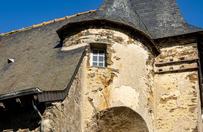 Casa senhorial à venda País do Loire, Imagem 3/15