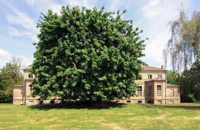 Casa senhorial à venda Strzyżno, Pałac w Strzyżnie, Zachodniopomorskie, Vista frontal