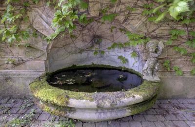 Villa histórica à venda Vernaison, Auvergne-Rhône-Alpes, Imagem 17/29