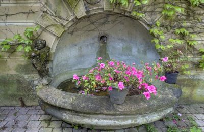 Villa histórica à venda Vernaison, Auvergne-Rhône-Alpes, Detalhes