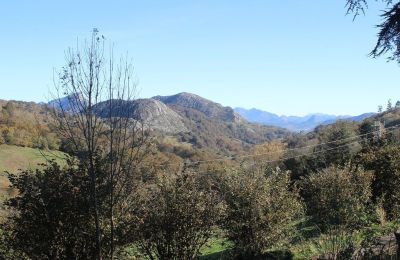 Casa senhorial à venda Parres, Astúrias, Vista