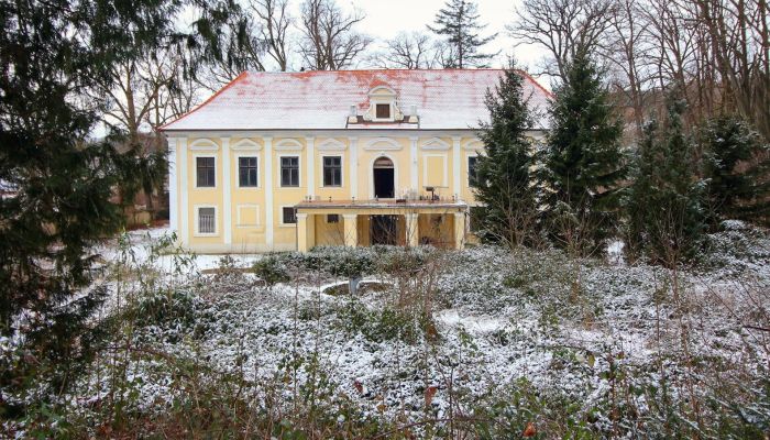 Palácio à venda okres Klatovy, Klatovy