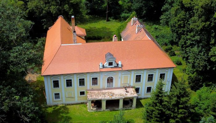 Palácio à venda Plzeňský kraj, okres Klatovy, Klatovy,  República Checa