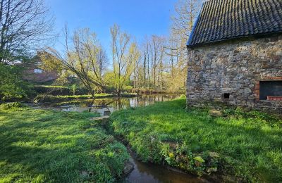 Palácio à venda Astenet, Nierstraße 5, Wallonie, Weiher mit Insel ( ideal für Hochzeitzermonien)