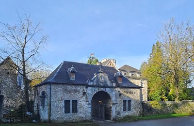 Palácio à venda Astenet, Nierstraße 5, Wallonie, Imagem 2/27