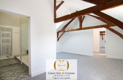 Propriedade histórica à venda Sarlat-la-Canéda, Nova Aquitânia, Imagem 14/20