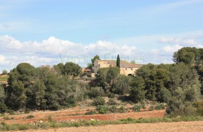 Casa senhorial à venda Vila-rodona, Catalunha, Imagem 4/37