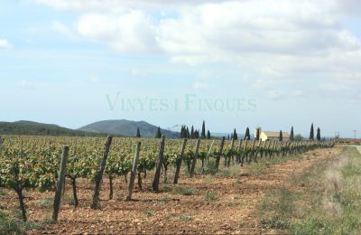 Casa senhorial à venda Vila-rodona, Catalunha, Imagem 8/37
