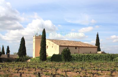 Casa senhorial à venda Vila-rodona, Catalunha, Imagem 3/37