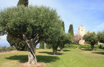 Casa senhorial à venda Vila-rodona, Catalunha, Imagem 2/37
