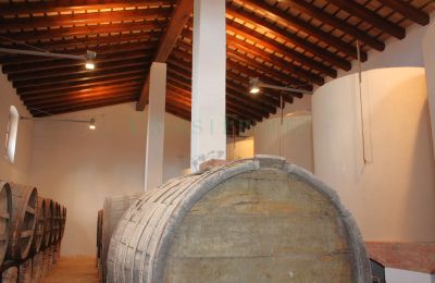 Casa senhorial à venda Vila-rodona, Catalunha, Imagem 15/37