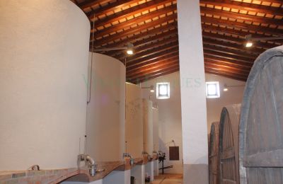 Casa senhorial à venda Vila-rodona, Catalunha, Imagem 16/37