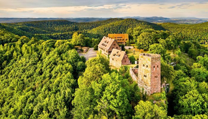 Castelo à venda 67330 Dossenheim-sur-Zinsel, Grande Leste,  França