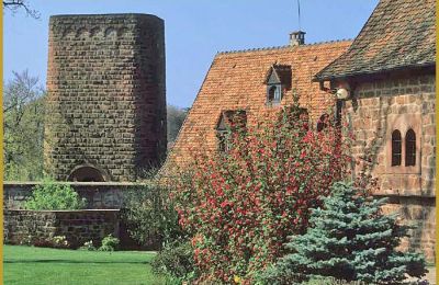 Castelo à venda 67330 Dossenheim-sur-Zinsel, HUNEBOURG, Grande Leste, Imagem 11/12
