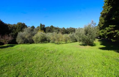 Casa de campo à venda Montecatini Val di Cecina, Toscana, Propriedade