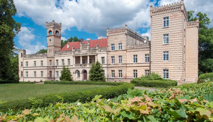 Palácio à venda Gościeszyn, Grande Polónia
