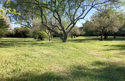 Casa de campo à venda Uzès, Occitânia, Imagem 13/14
