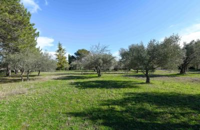 Casa de campo à venda Uzès, Occitânia, Imagem 14/14