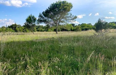 Casa de campo à venda Uzès, Occitânia, Imagem 7/14