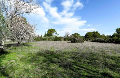 Casa de campo à venda Uzès, Occitânia, Propriedade