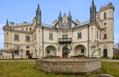 Palácio à venda Patrykozy-Kolonia, Mazóvia, Imagem 1/21