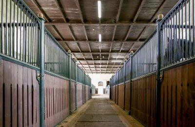Propriedade histórica à venda Žagariškiai, Šiaulių apskritis, Cavalariças