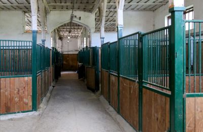 Propriedade histórica à venda Žagariškiai, Šiaulių apskritis, Cavalariças