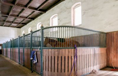 Propriedade histórica à venda Žagariškiai, Šiaulių apskritis, Cavalariças