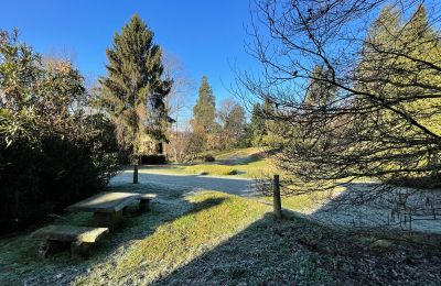 Villa histórica à venda Castelletto Sopra Ticino, Piemonte, Imagem 5/24
