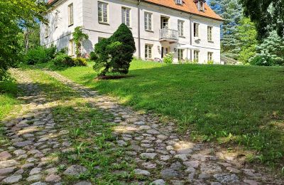 Casa senhorial à venda Dawidy, Dwór w Dawidach, Warminsko-mazurskie, Vista traseira