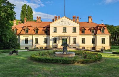 Casa senhorial à venda Dawidy, Dwór w Dawidach, Warminsko-mazurskie, Neighborhood: Kadyny