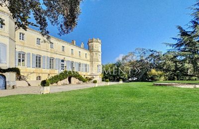 Casa senhorial à venda Saint-Sulpice-la-Pointe, Occitânia, Vista traseira