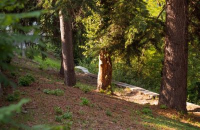 Villa histórica à venda Bosia, Via Rutte  2, Piemonte, Imagem 36/47