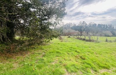 Casa de campo à venda 36740 Tomiño, Galiza, Propriedade