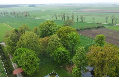 Casa senhorial à venda Machcin, Wielkopolskie, Imagem 9/26