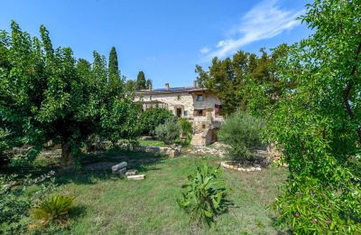 Propriedade histórica à venda Uzès, Occitânia, Jardim