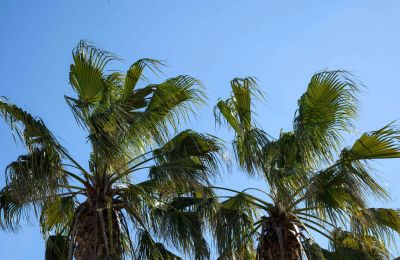 Propriedade histórica à venda Uzès, Occitânia, Imagem 33/34