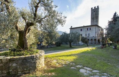 Castelo à venda Croci di Calenzano, Toscana, Jardim