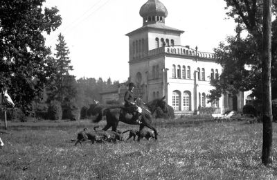 Palácio à venda Osiek, Pałac w Osieku, Malopolskie, Vista histórica